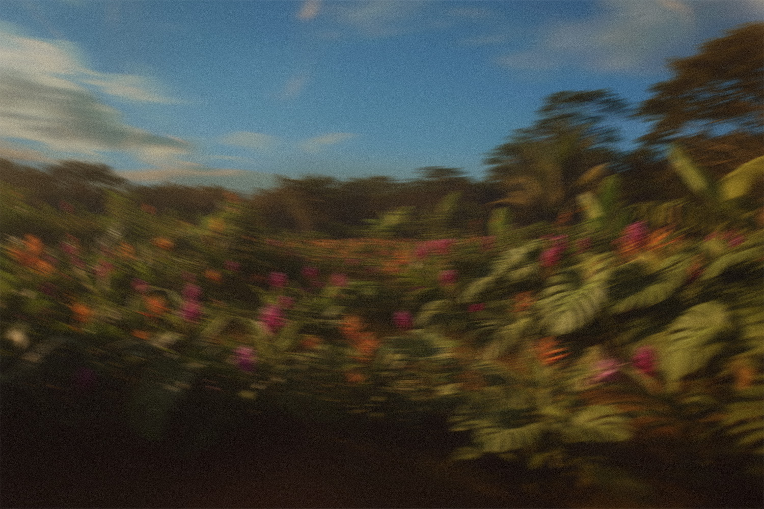 Your Prompts Background Image